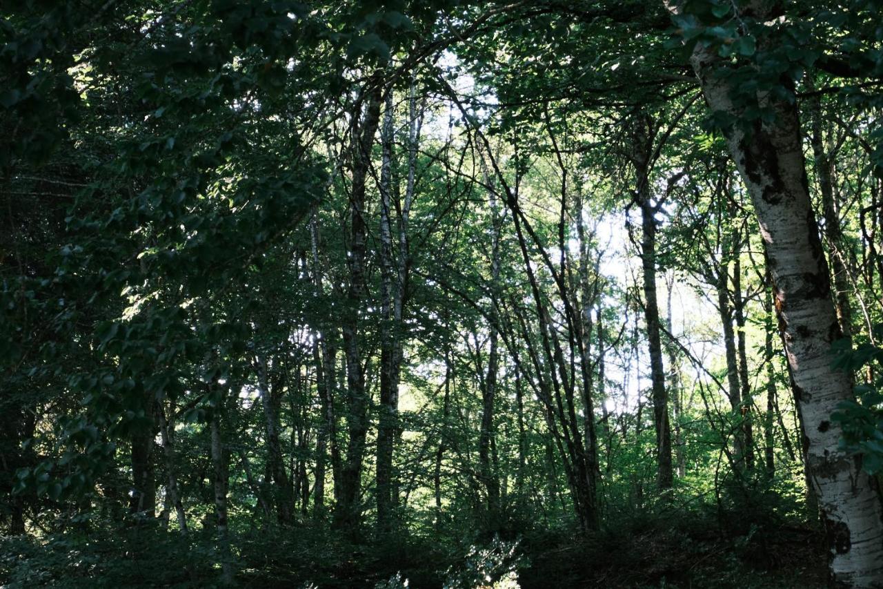Avec Privatif - Foret Et Liginiac