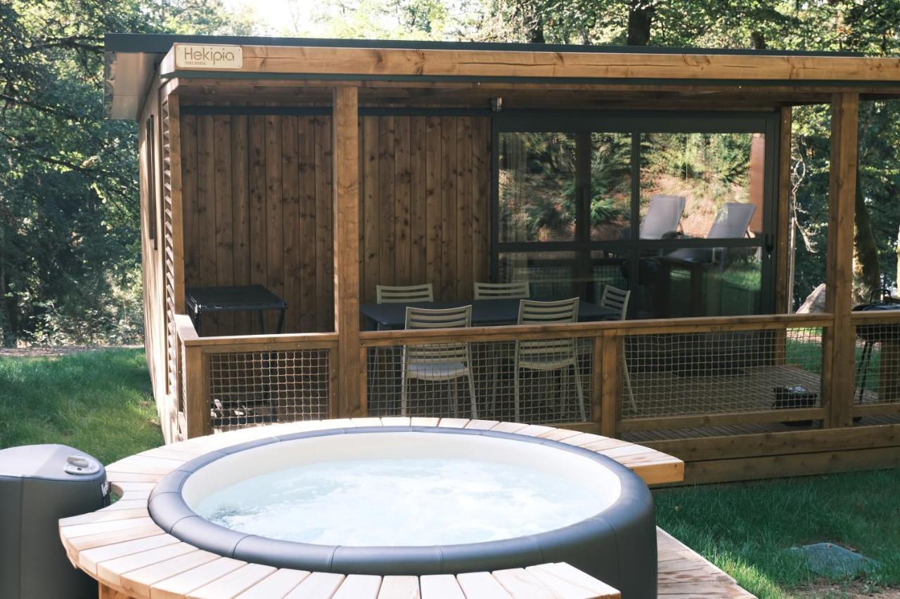 Chalet Avec Privatif - Foret Et Liginiac