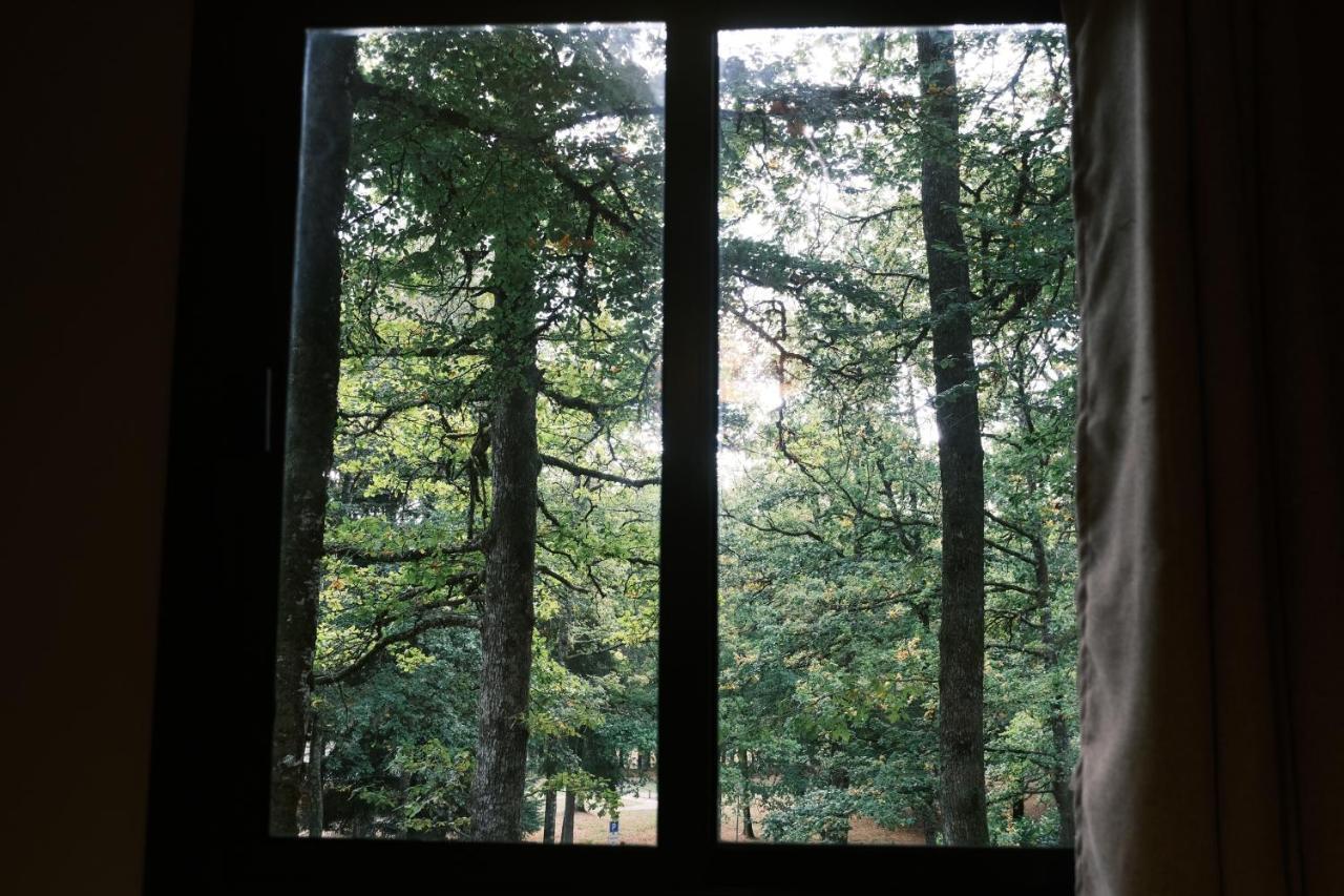 Avec Privatif - Foret Et Liginiac