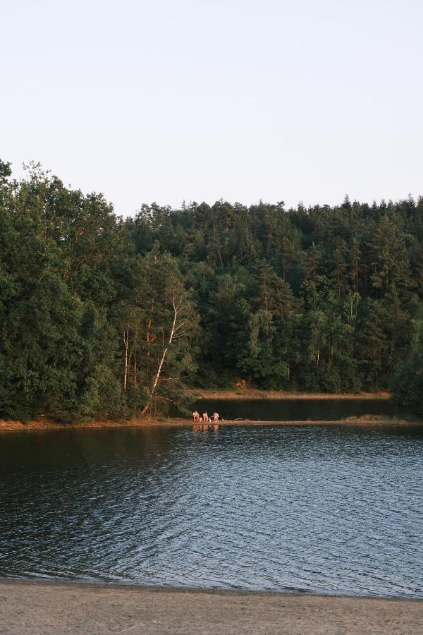 Avec Privatif - Foret Et