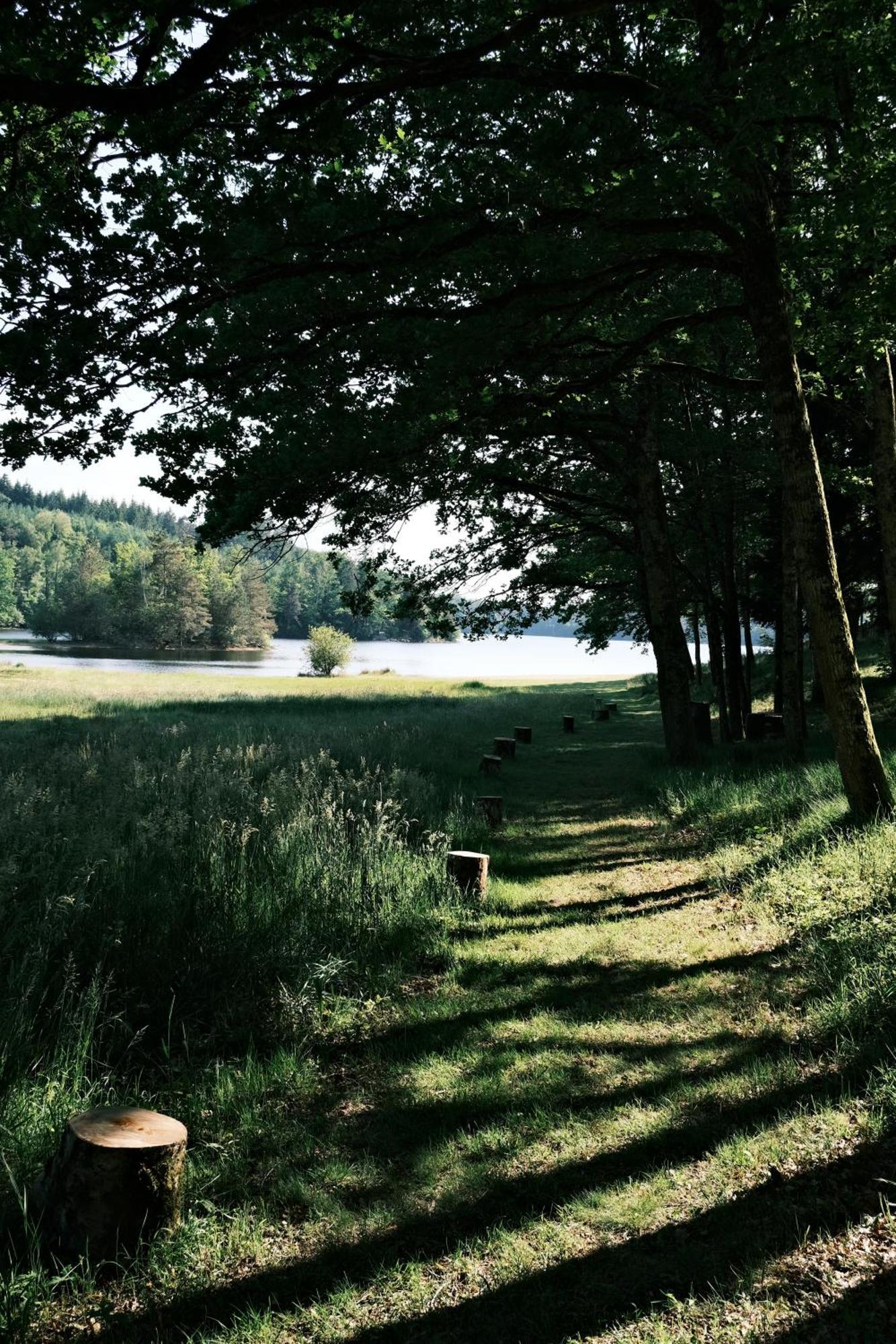 Avec Privatif - Foret Et