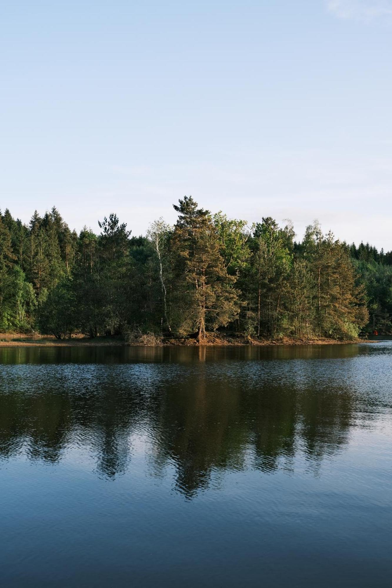 Avec Privatif - Foret Et