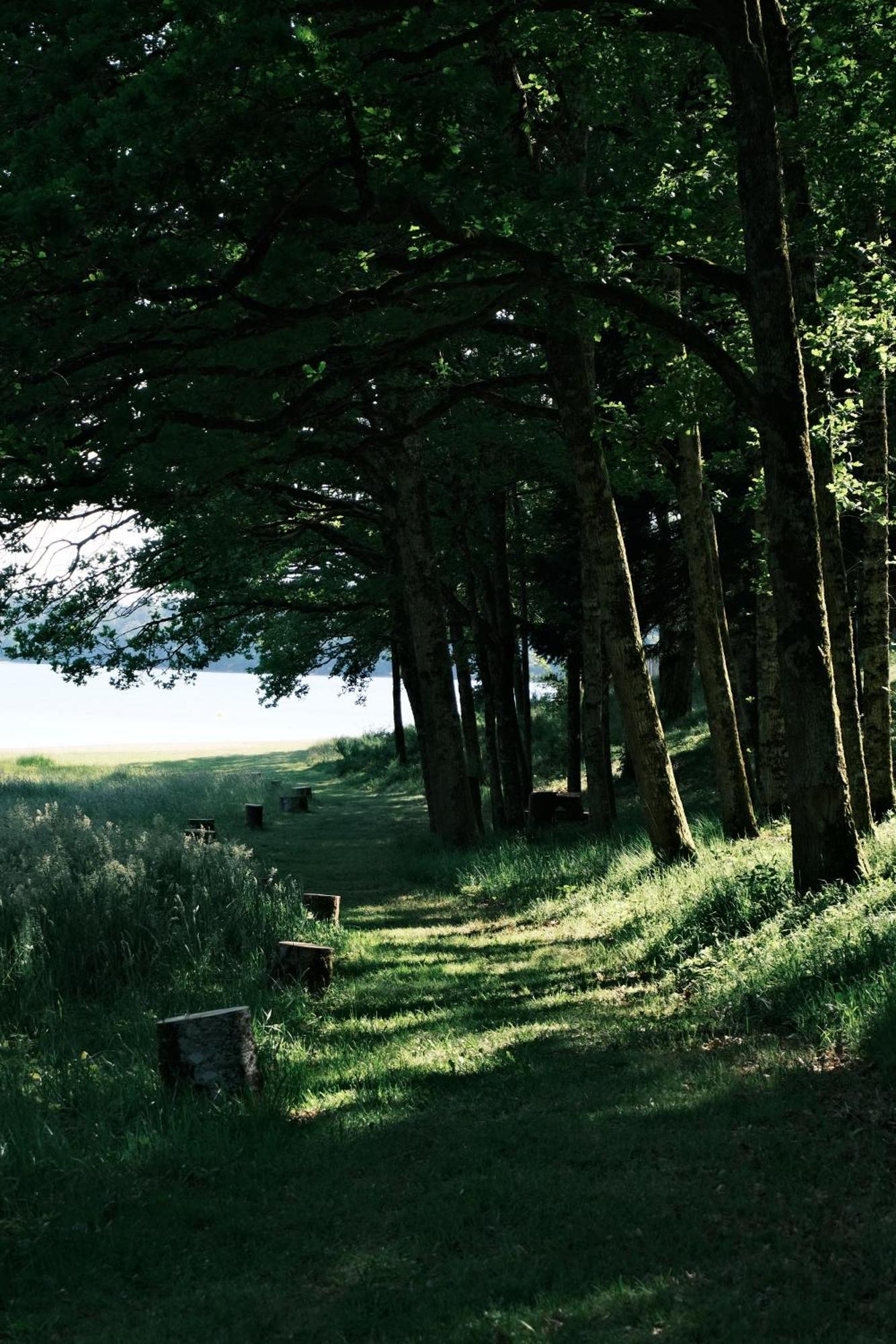 Avec Privatif - Foret Et *