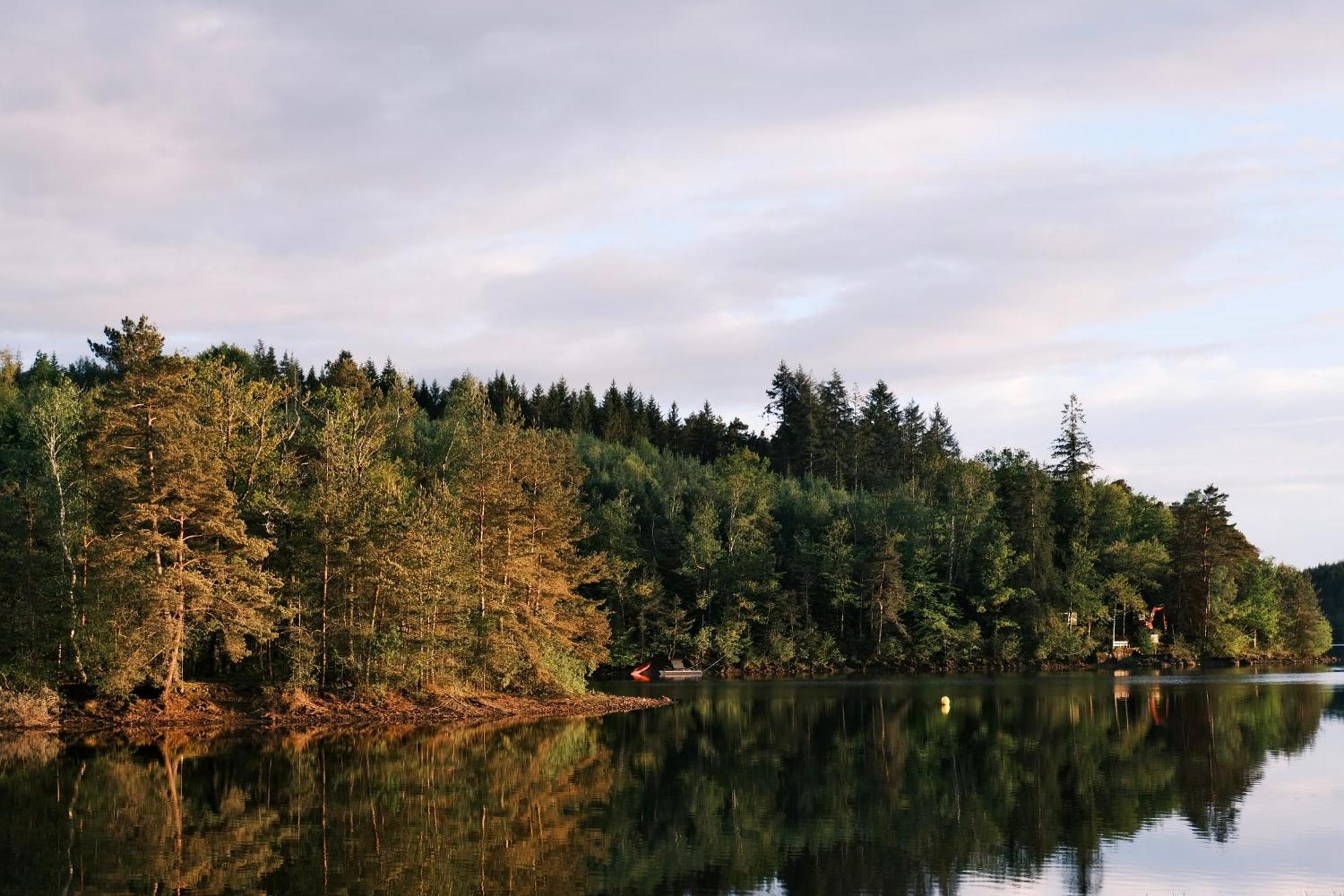 Avec Privatif - Foret Et